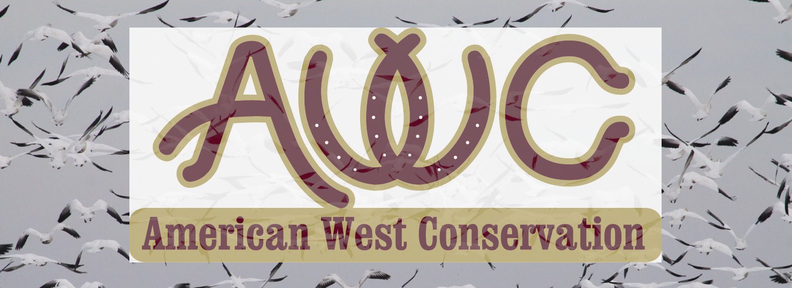 American West Conservation